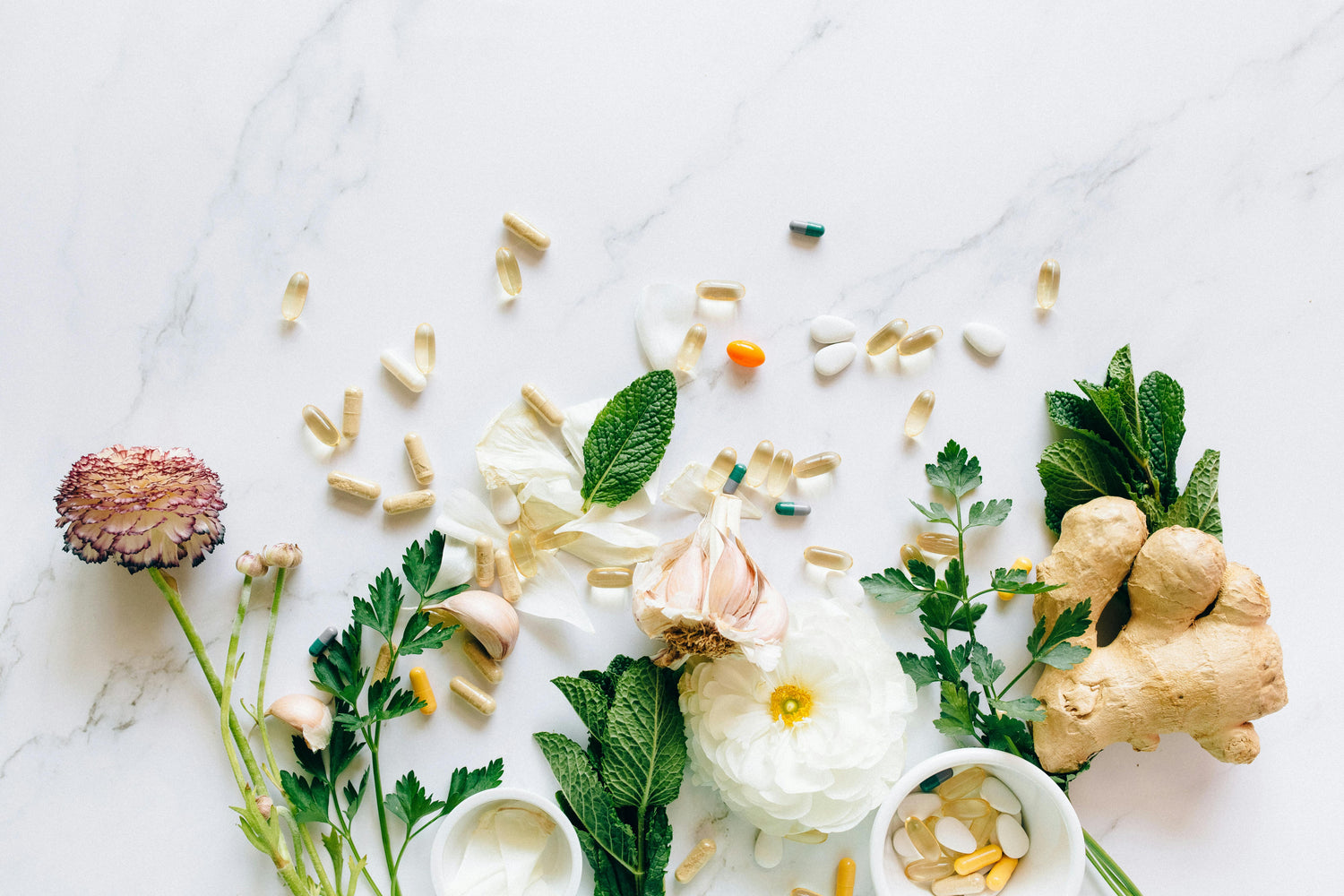 Gut and Immune Health